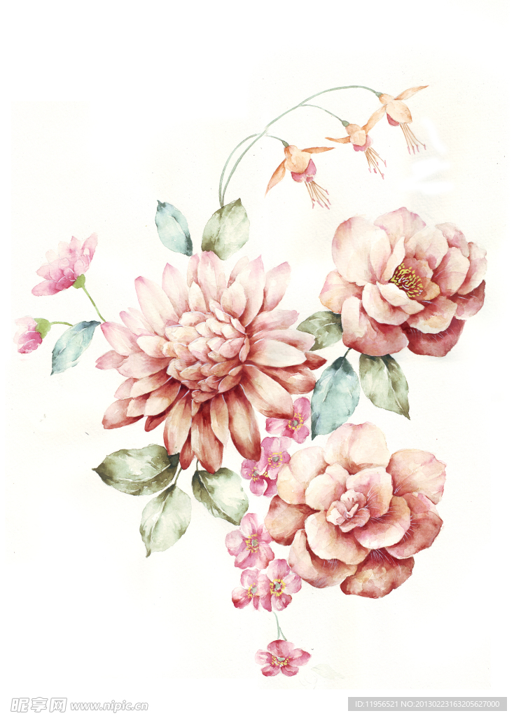 手绘花卉
