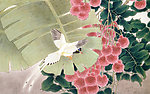 花鸟画