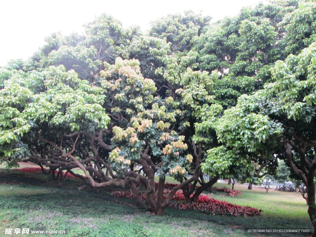 深圳大学摄影