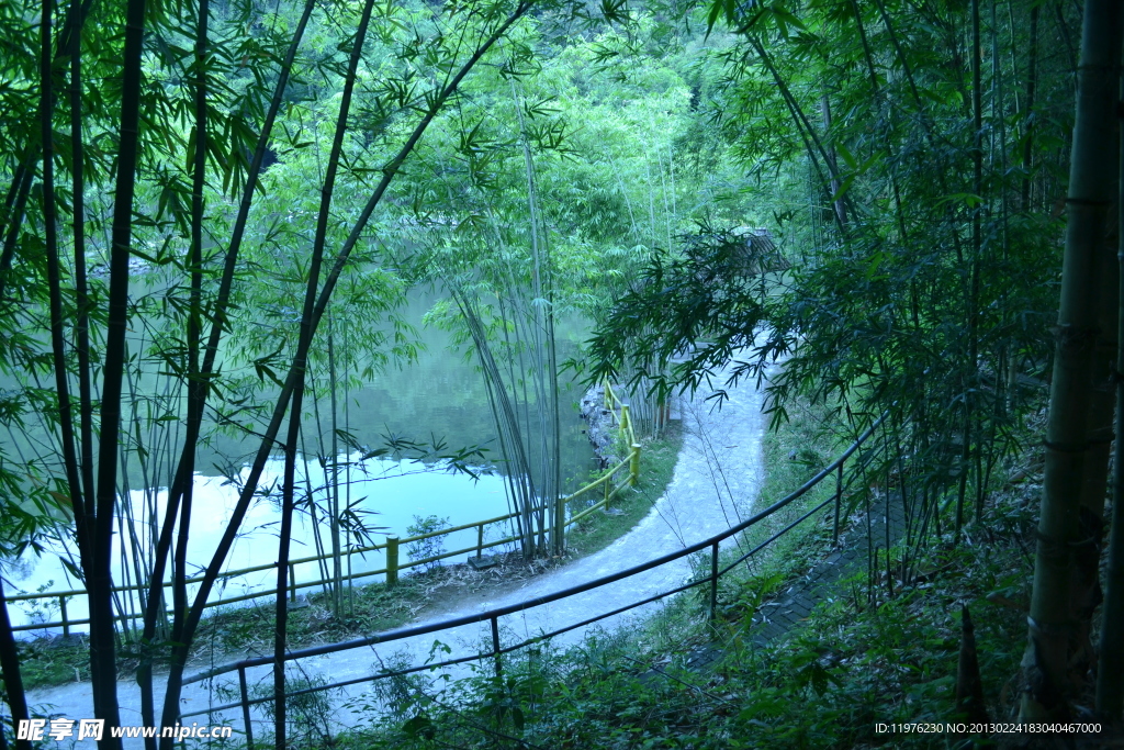 竹林小道