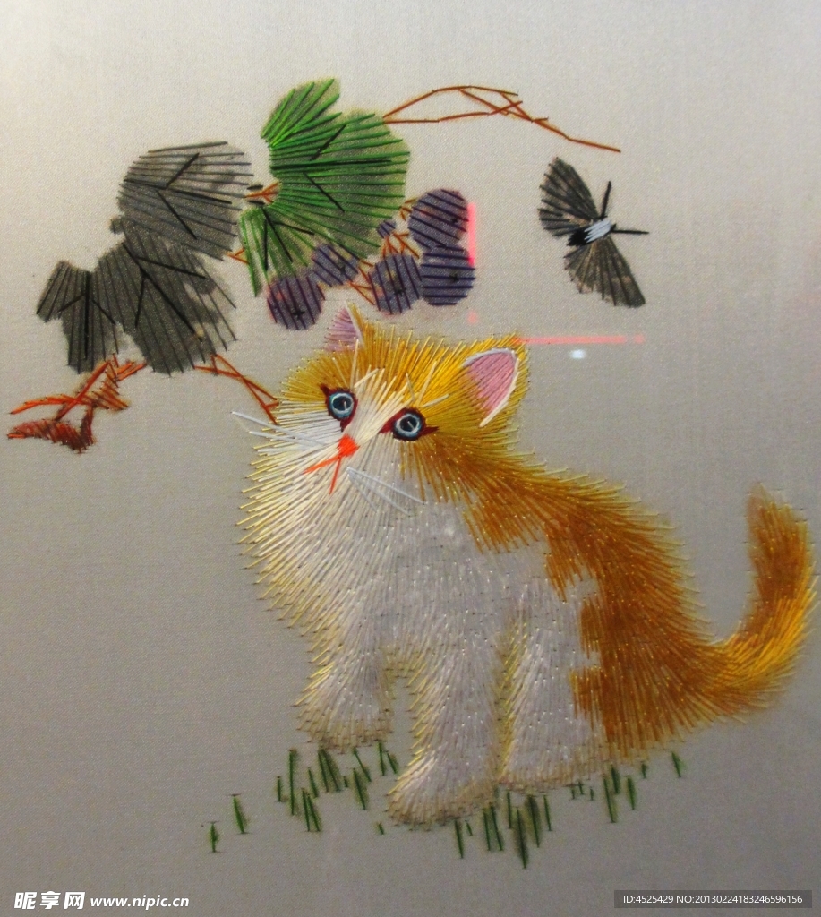 小猫