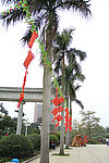 公园一角