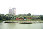 城市风景