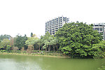 城市风景