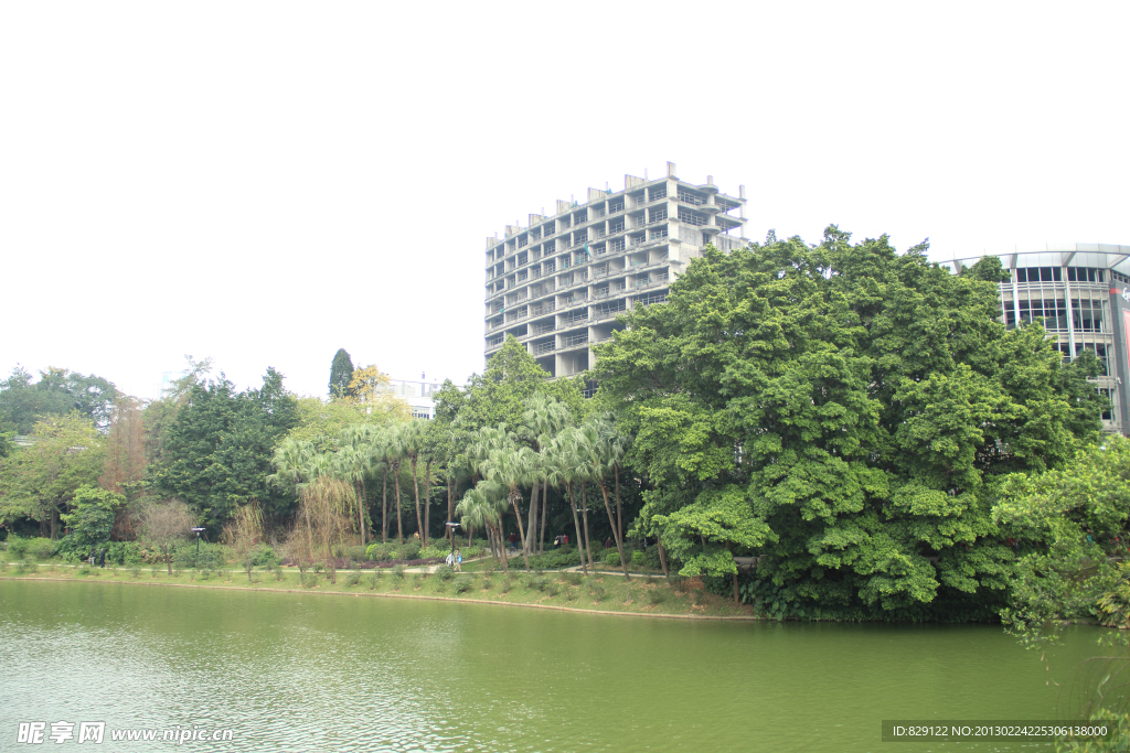 城市风景