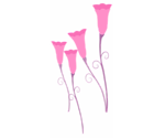 粉色花