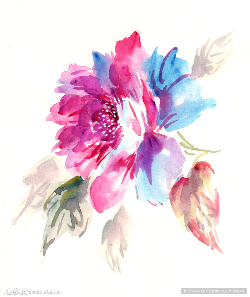 手绘花卉