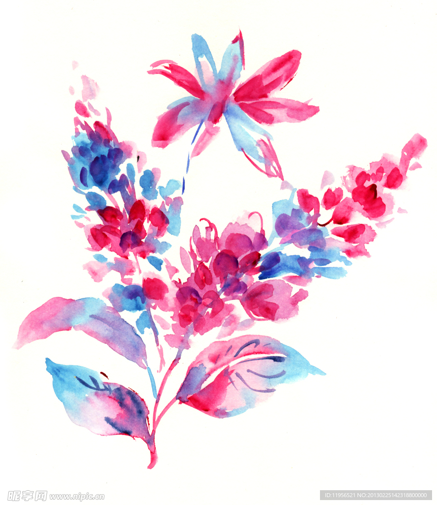 手绘花卉