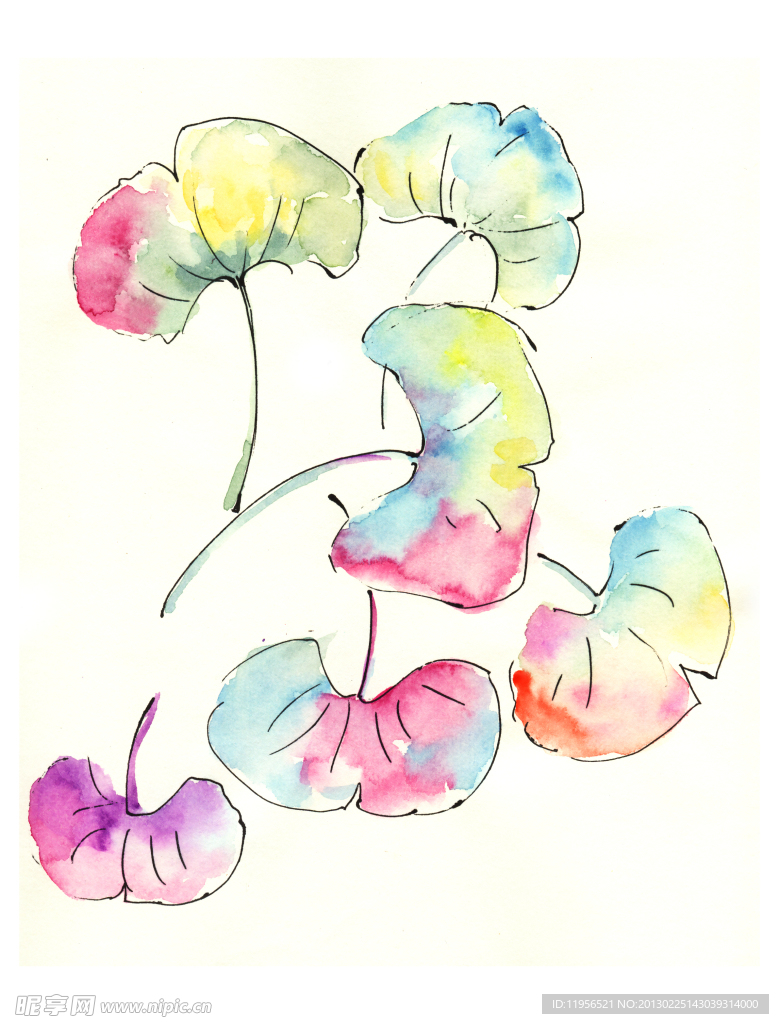 手绘花卉