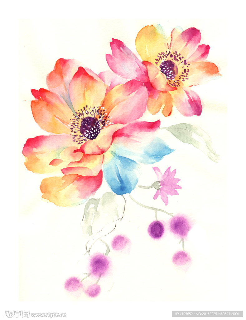 手绘花卉