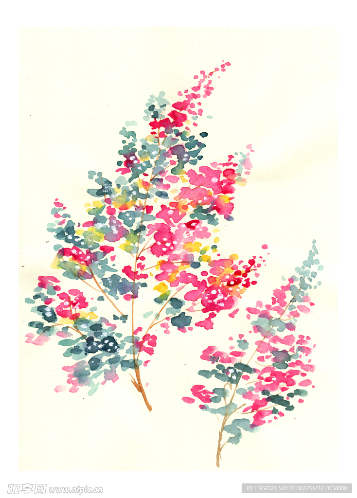 手绘花卉