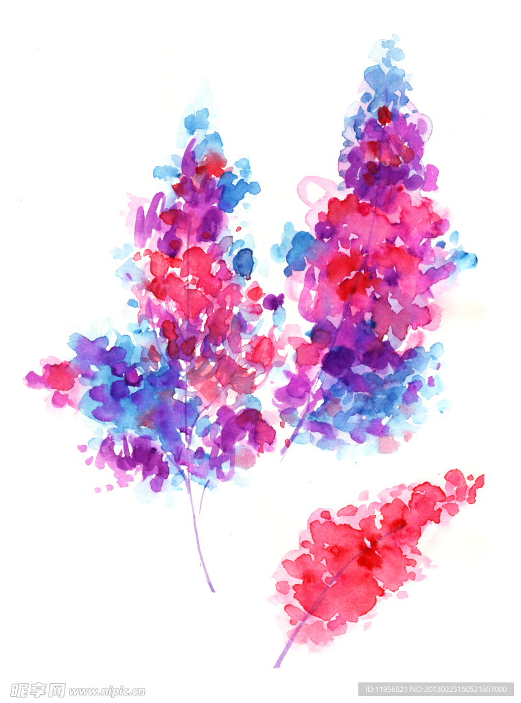 手绘花卉