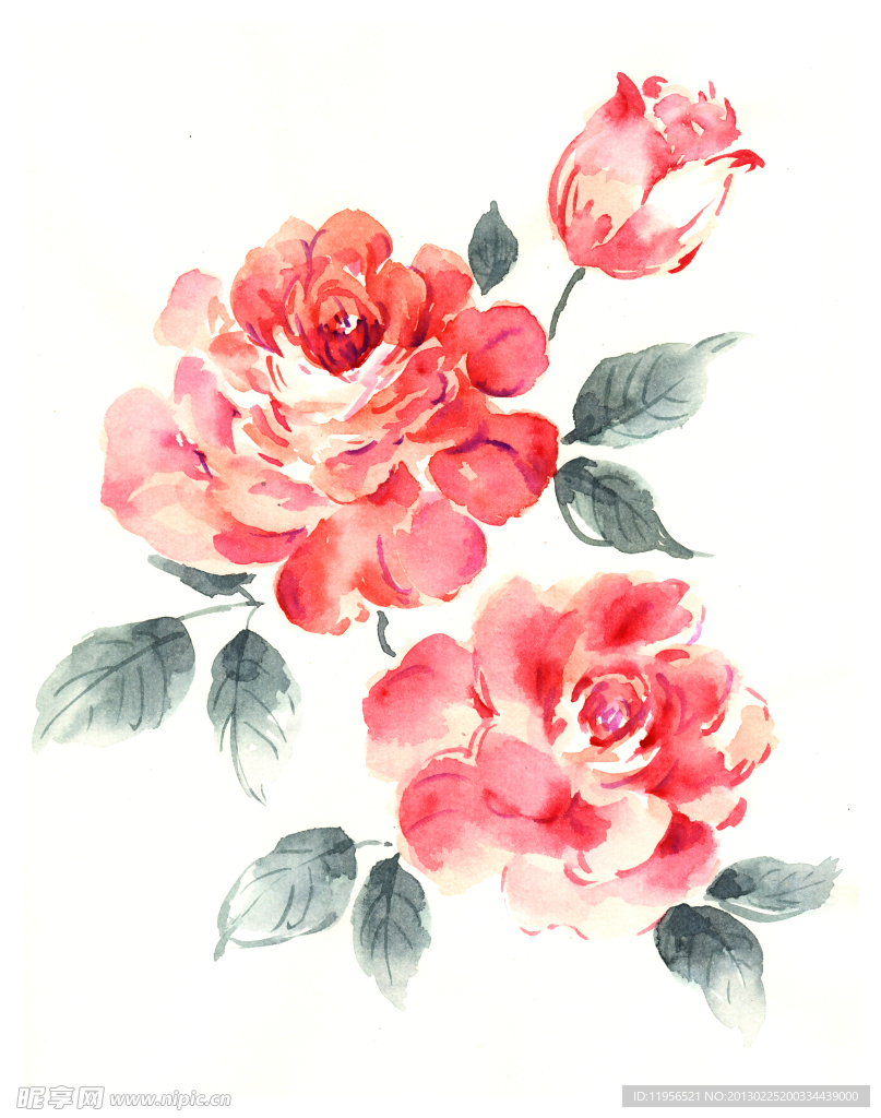 手绘花卉