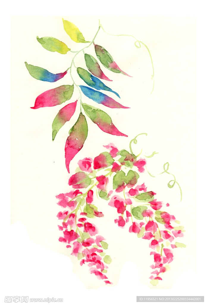 手绘花卉