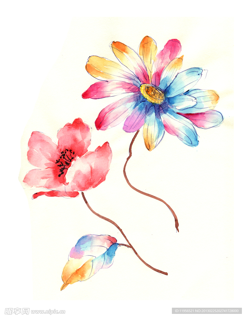 手绘花卉