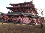 古建筑