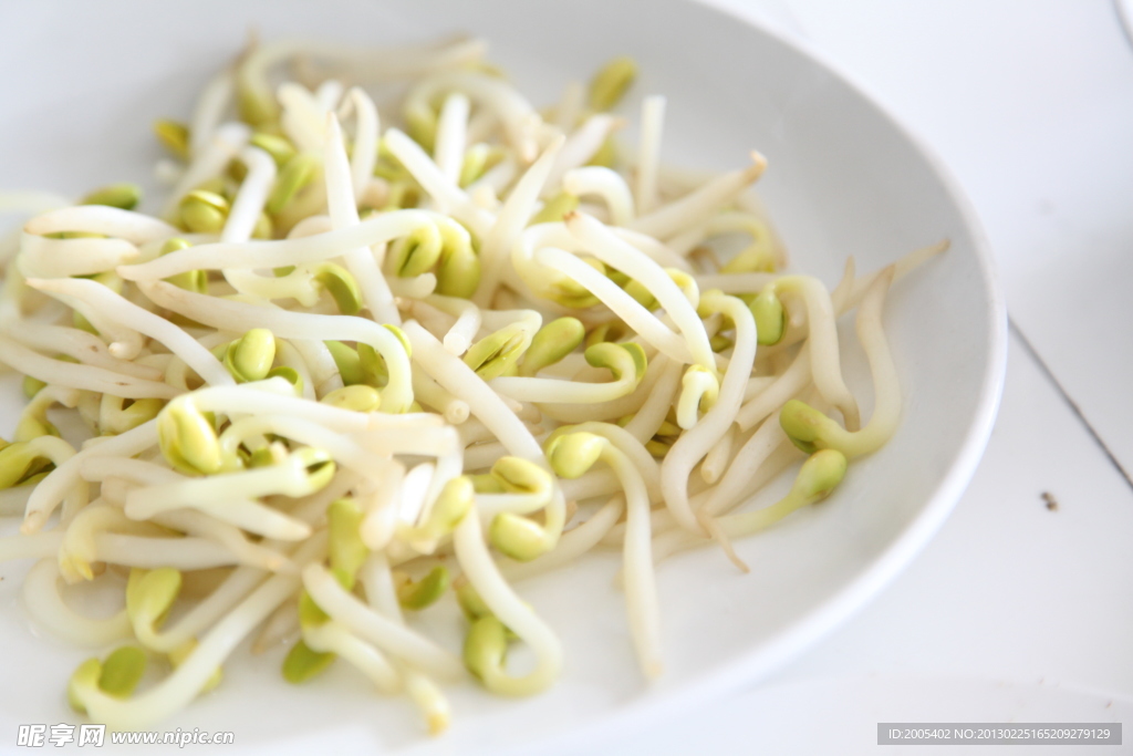 豆芽