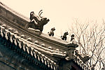 雪后镇兽