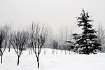 乡村雪地