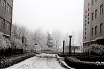 校园雪景