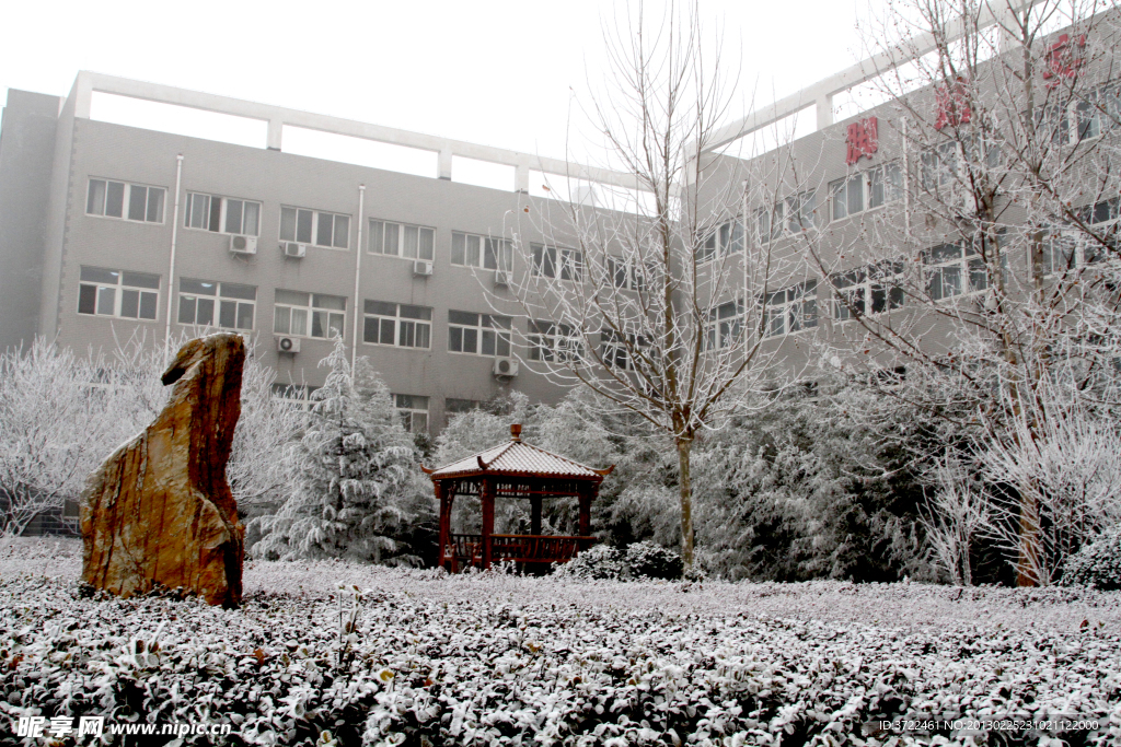 雪后的学校花园