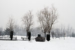 雪地小广场