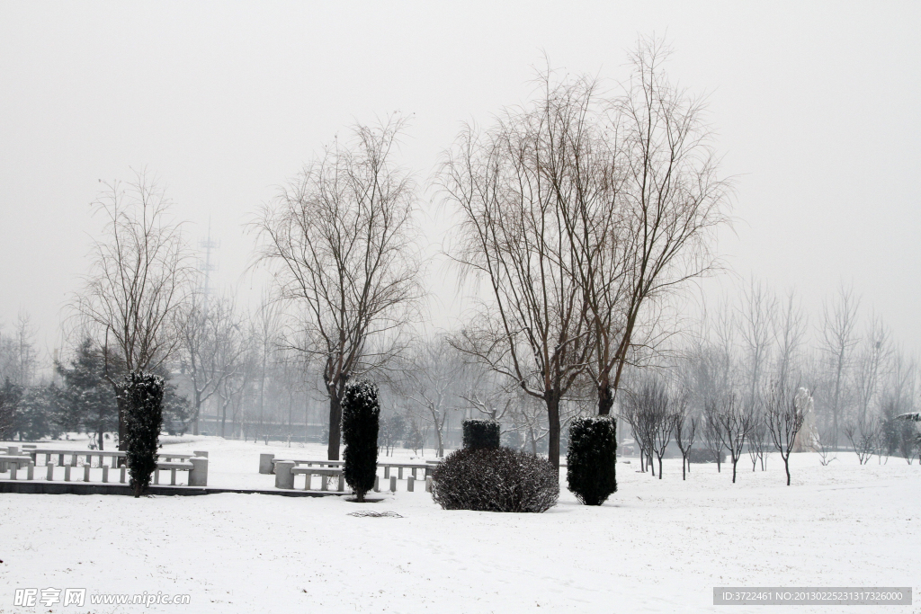 雪地小广场