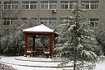 白雪覆盖的木亭