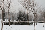 雪后公园