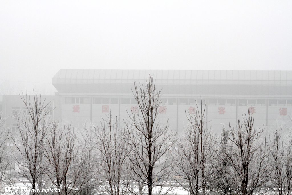 雪后体育馆