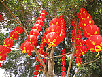红红火火