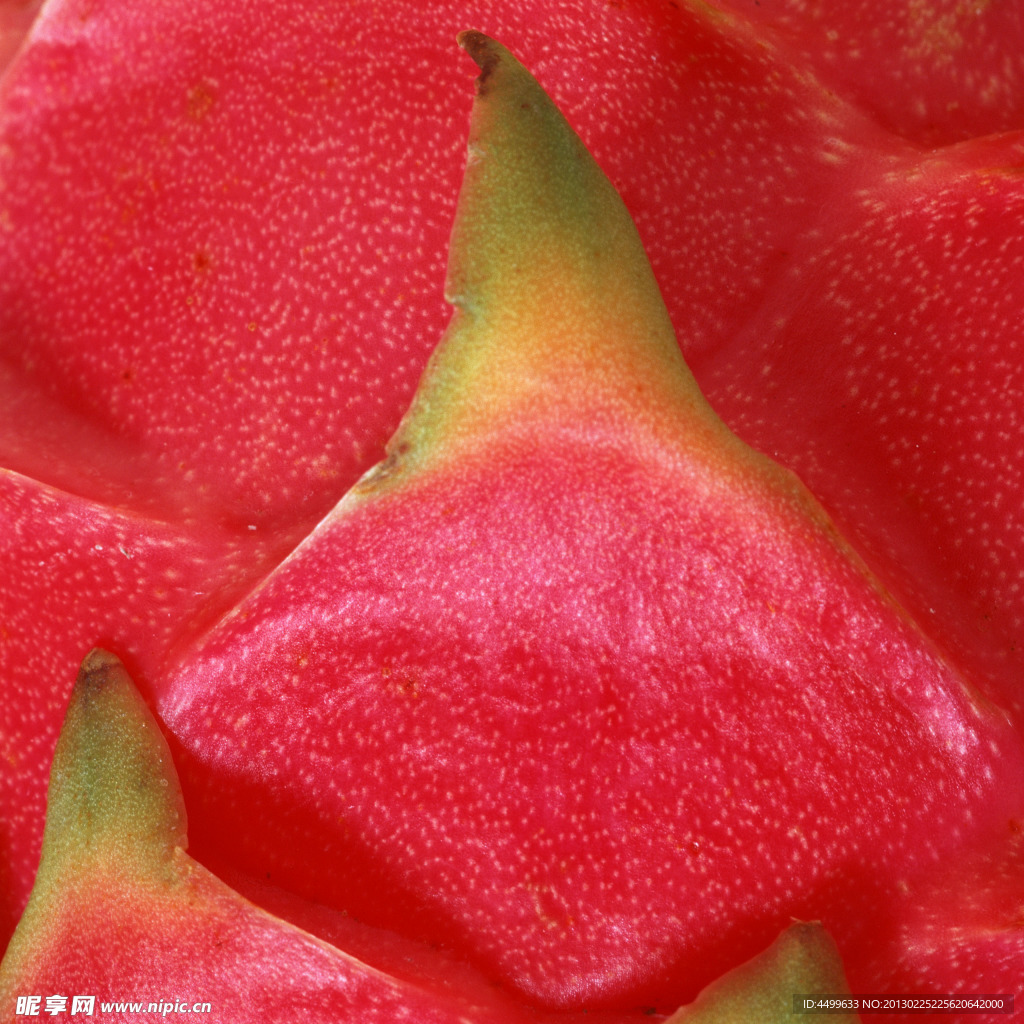 火龙果