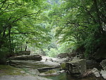 黎坪森林公园