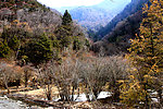 松平沟风景