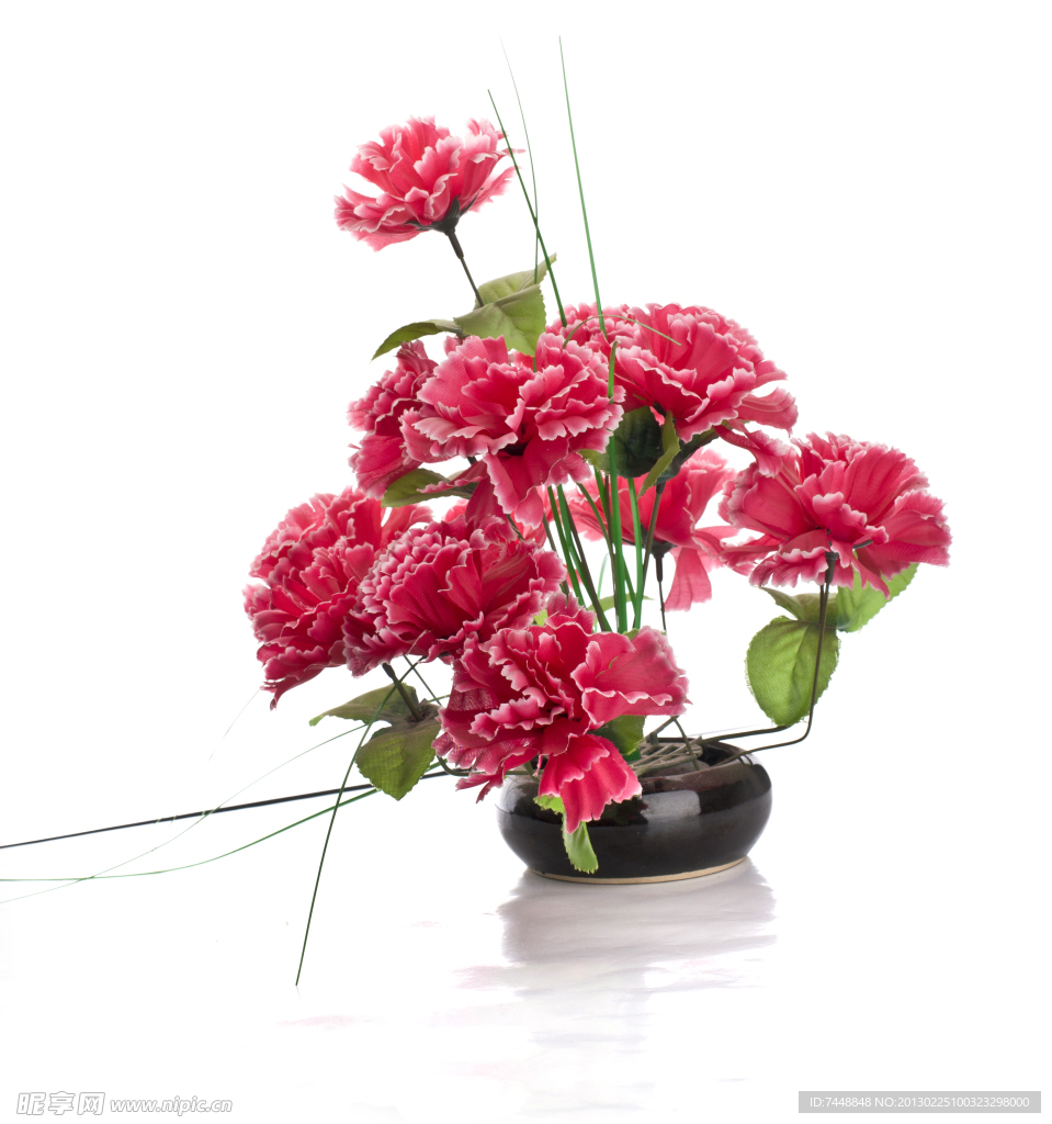 玫瑰花