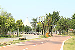 公园一角