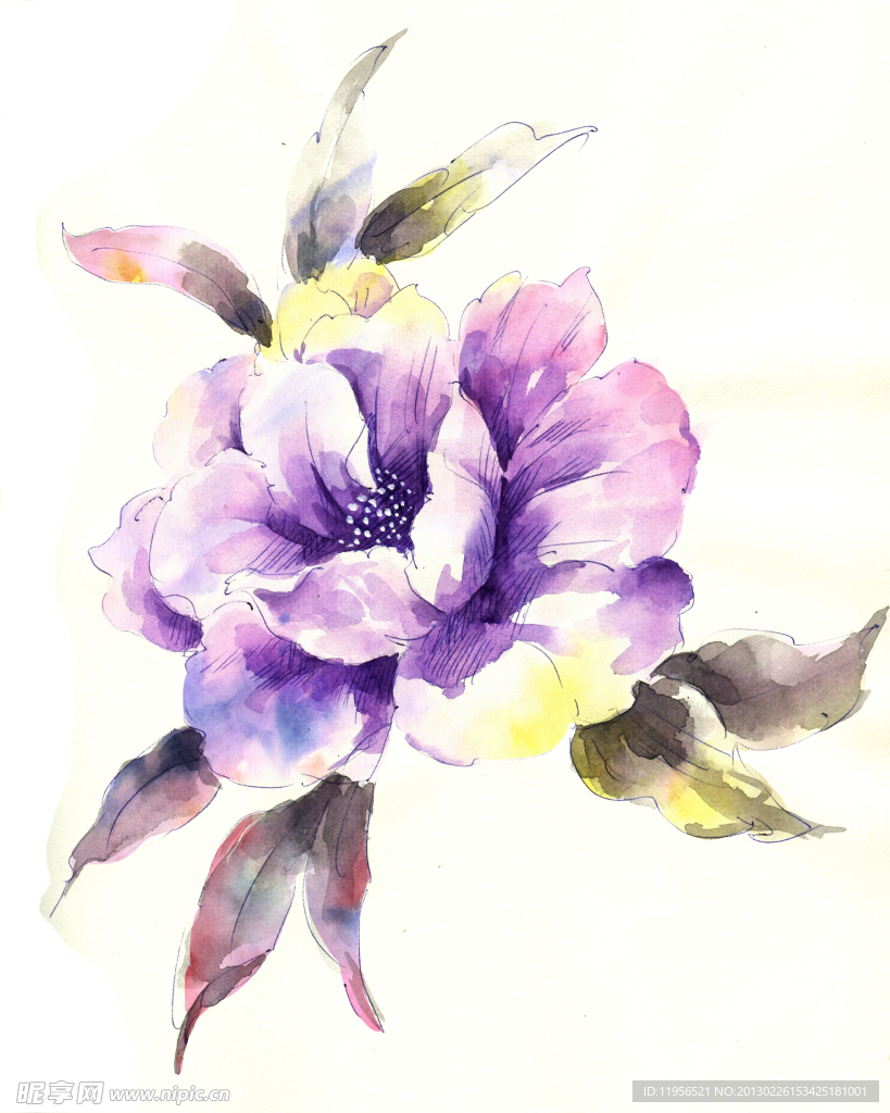 手绘花卉