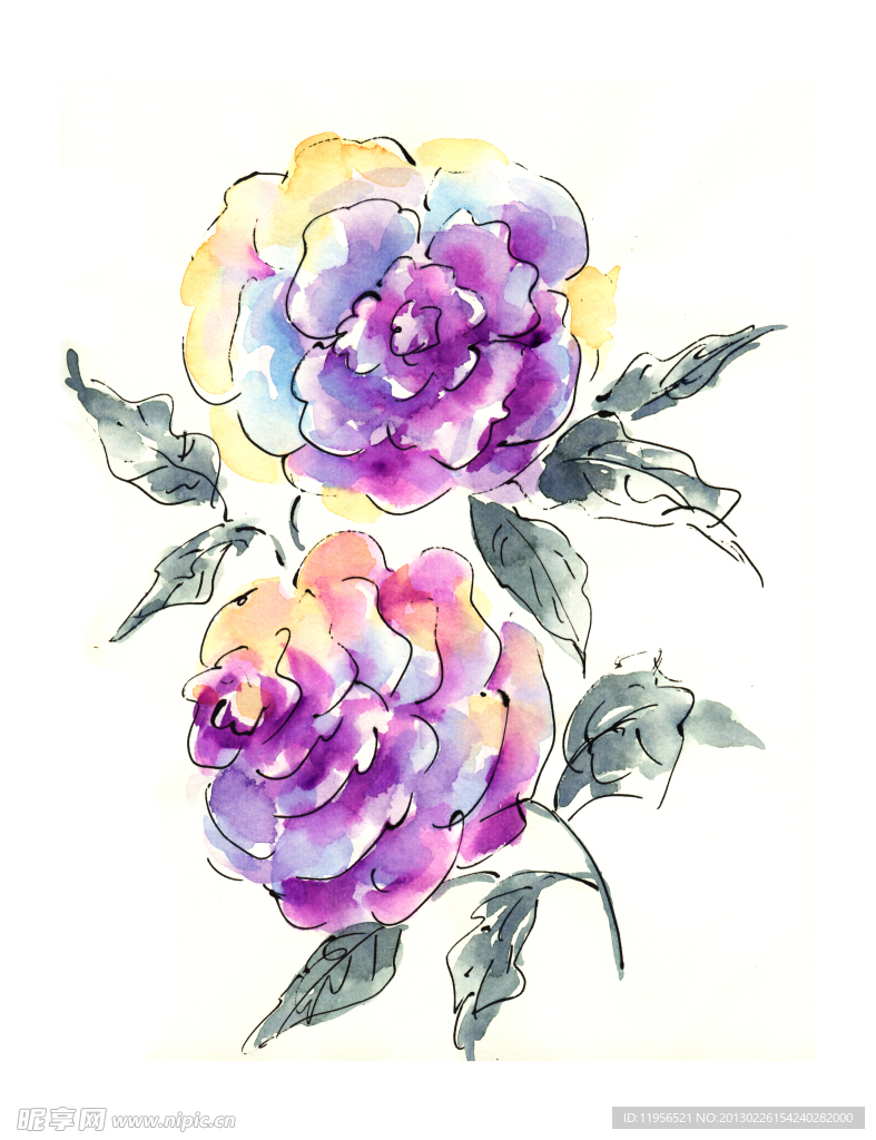 手绘花卉