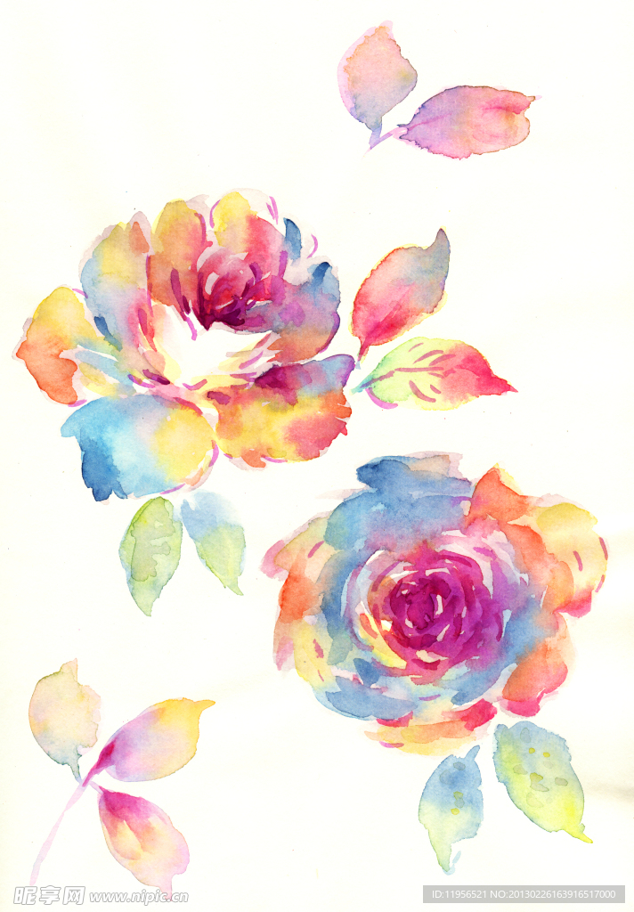 手绘花卉