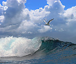 海浪
