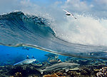 海浪 海底世界