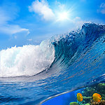海浪 海底世界