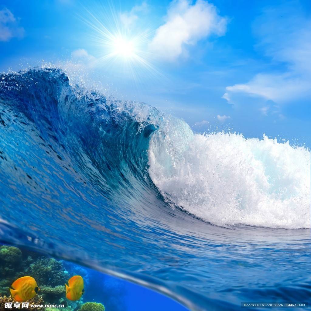 海浪 海底世界