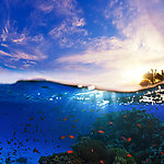 海浪 海底世界