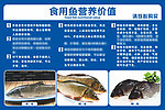 食用鱼营养价值