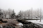 校园雪景