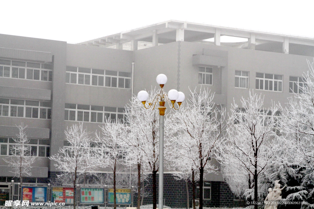 雪后教学楼