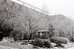 校园雪后一景