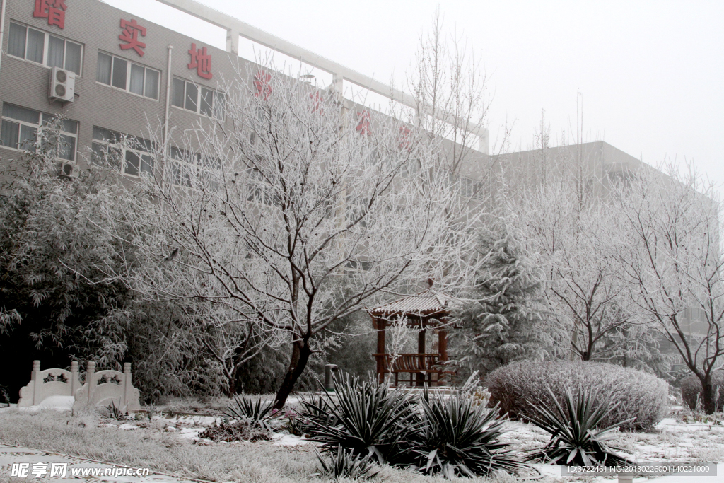 校园雪后一景