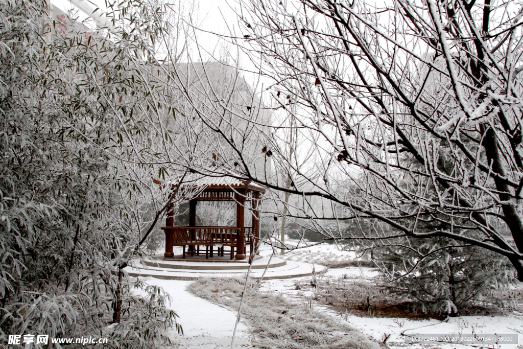 竹林边的雪亭